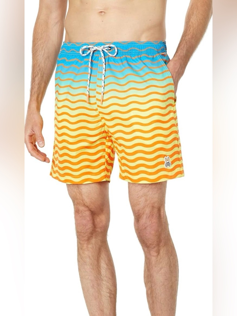 Men’s Sz Lg Psycho Bunny Pridmouth Multi Color Swim Trunks